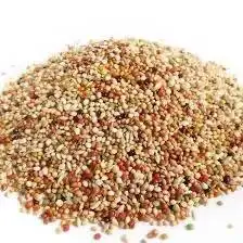 حبوب الطيور حبوب الطيور