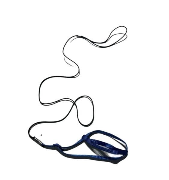 هارنس