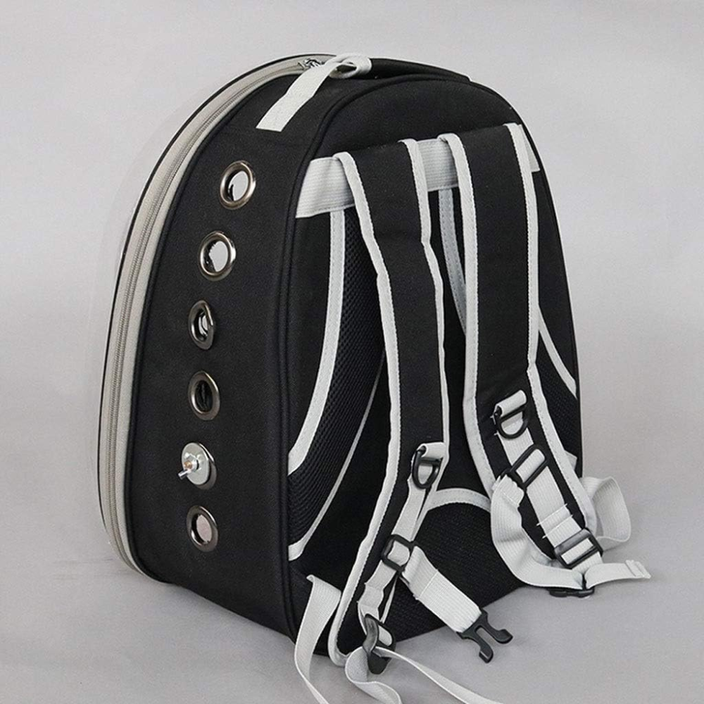 شنطة طيور - الصورة 2