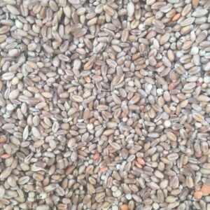 حبوب مشكلة حبوب مشكلة