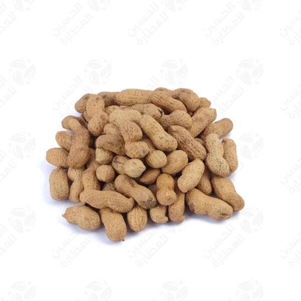 فول سوداني