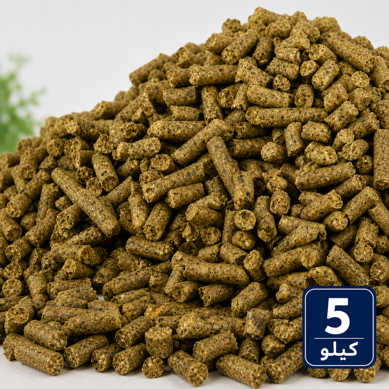 علف الأرنب